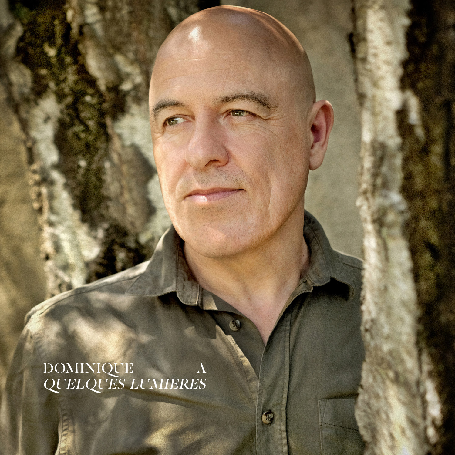 Dominique A - Quelques Lumières - Nouvel album